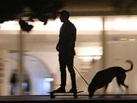 Двое жителей Бат-Яма задержаны по подозрению в нападении на человека и убийстве его собаки