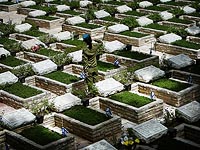 Солдат-неевреев будут хоронить рядом с их товарищами-евреями, но глубже