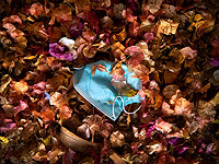 Коронавирус в Израиле: заражены около 9900 человек, примерно 380 в тяжелом состоянии