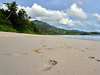 СМИ: Сейшелы ждут израильтян и готовы освободить их от прохождения карантина