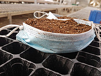 Еврейский Национальный фонд предложил выращивать рассаду в использованных масках