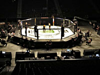 UFC. Тиаго Сантоса 