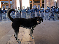 В Армении задержан бывший вице-спикер парламента за участие в акции протеста
