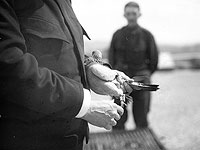 В Эльзасе через 110 лет после отправки нашли письмо 