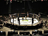 LFA. Бразилец жестко нокаутировал 