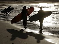 Около побережья Австралии в результате нападения акулы погиб мужчина