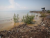 Минздрав предупреждает об опасности купания на всех пляжах страны