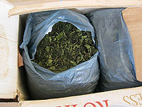 В Болгарии освобождены четыре израильтянки, задержанные 2,5 месяца назад с грузом ката