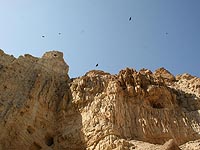 Во время горного похода возле Эйн-Бокека погибла женщина