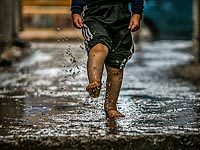 Спасательные службы попросили жителей Нагарии не выходить на улицу из-за наводнения