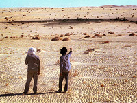 Bild: В Ливии активны 4000 наемников Путина