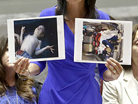 Der Spiegel: Дело Асада