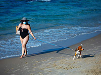 Коронавирус в Израиле: зараженных более 10 тысяч