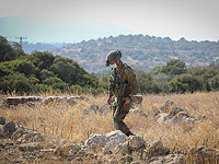 Алекс Кушнир: