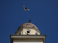 В Греции произошло землетрясение магнитудой 5,1