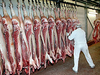 Немецкие свиные рульки виноваты в появлении коронавируса?