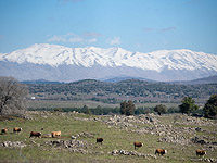 На горнолыжном курорте Хермон выпал первый снег