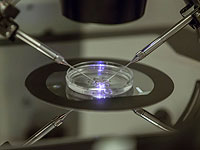 В США родилась девочка, зачатая 27 лет назад