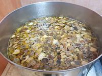 Семь отравившихся собранными под Иерусалимом грибами, 58-летняя женщина в тяжелом состоянии