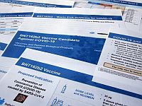 Компания Pfizer получила разрешение FDA: в США начинается массовая вакцинация от коронавируса