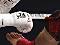 Кикбоксинг.