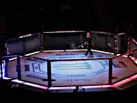 UFC. Фергюсон и душ Сантуш проиграли. Физиев нокаутировал соперника