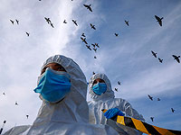 Коронавирус в Израиле: с начала эпидемии умерли более 3000 заболевших COVID-19