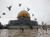 Туристы из ОАЭ в Израиле: 