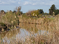 Еврейский Национальный фонд просит воздержаться от посещения ручьев Александр и А-Шофет