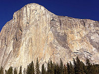 Австралийка погибла на глазах своих детей, добиваясь 