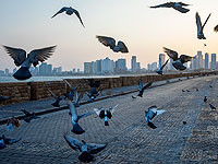 Кабинет по коронавирусу обсуждает введение жесткого локдауна