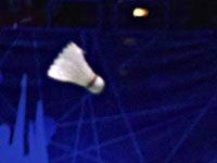 Российский бадминтонист дисквалифицирован на пять лет за договорные матчи