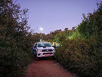 Арестован подозреваемый в убийстве Эстер Орген