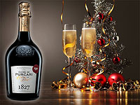 Встречаем Новый год бокалом элитного вина Purcari