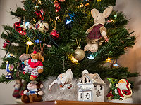 Мэрия Тират-Кармеля отключила электричество на