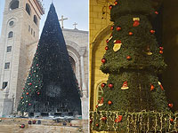 Задержаны подозреваемые в поджогах рождественских елей в Сахнине