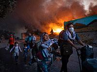 Високосный 2020-й. Фотографии года