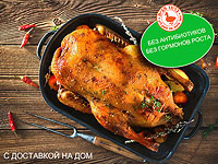 Свежая утка с доставкой на дом