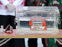 Специалисты изучают 