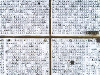 WSJ: Число погибших от COVID-19 намного больше, чем представляется