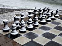 От коронавируса умер известный шахматист, участник 11 олимпиад