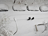 Снежная буря в Мадриде. Самолет 