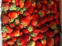 Около Иерусалима перехвачены 1,3 тонны контрабандной клубники из Газы