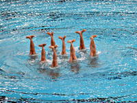 Синхронное плавание. Олимпийскую квалификацию перенесли на май