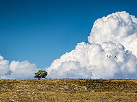 Израиль прекратил засевать облака