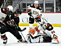 НХЛ. Вратарь профессионально разделался с нападающим