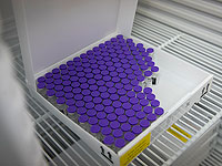 Израиль передал Палестинской автономии тысячи доз вакцины против коронавируса компании Moderna