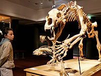 Бруно Давид в интервью Le Figaro: 