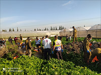 К югу от Бейт-Шеана автомобилем сбиты несколько человек, один из них погиб