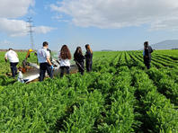 Опубликовано имя пилота, погибшего при крушении вертолета